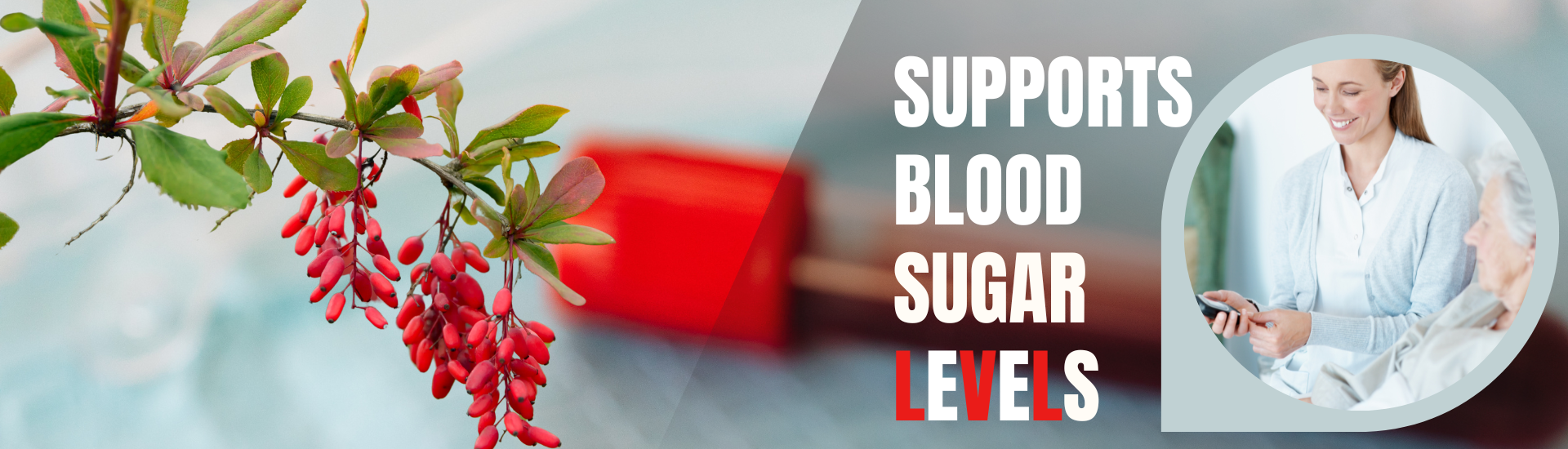 Blood sugar regulation