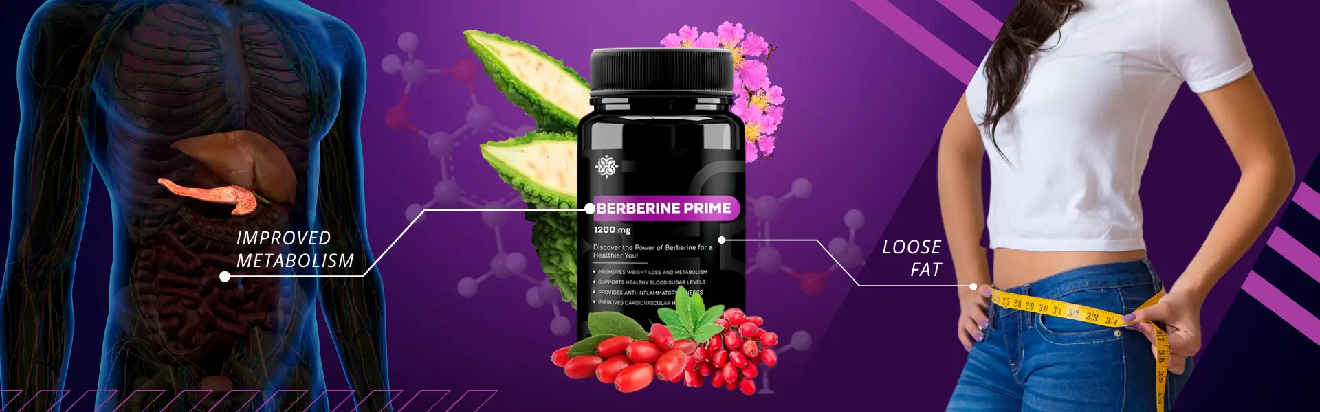 berberine supplement