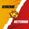 berberine vs metformin