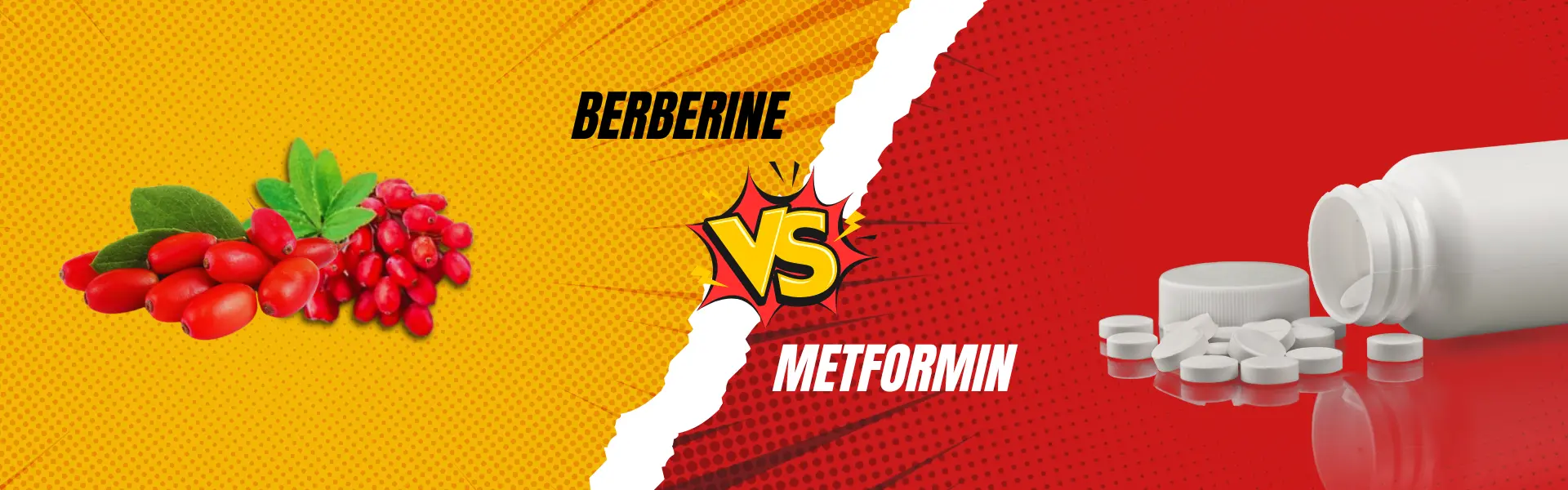 berberine vs metformin